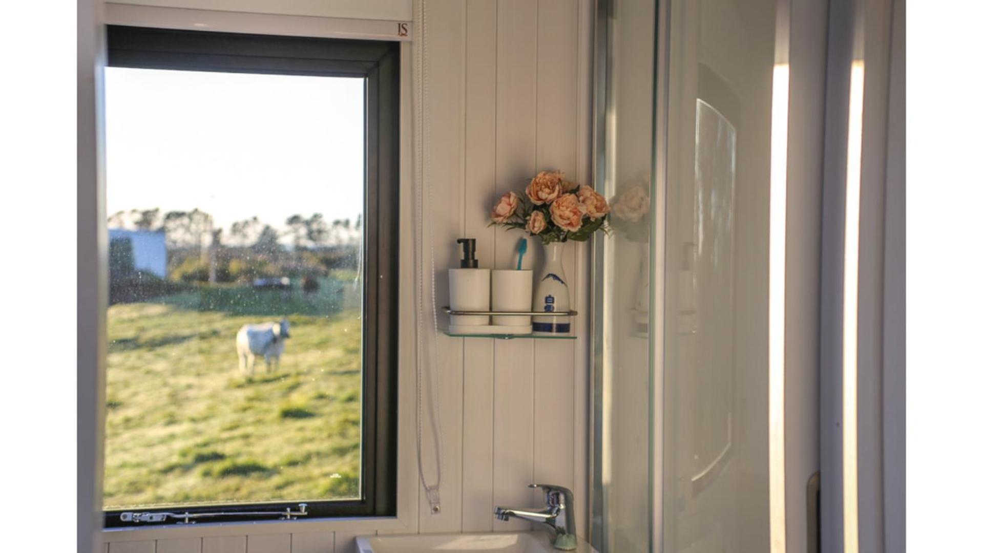 Taranaki Creekside Kea By Tiny Away Villa Stratford Exterior photo